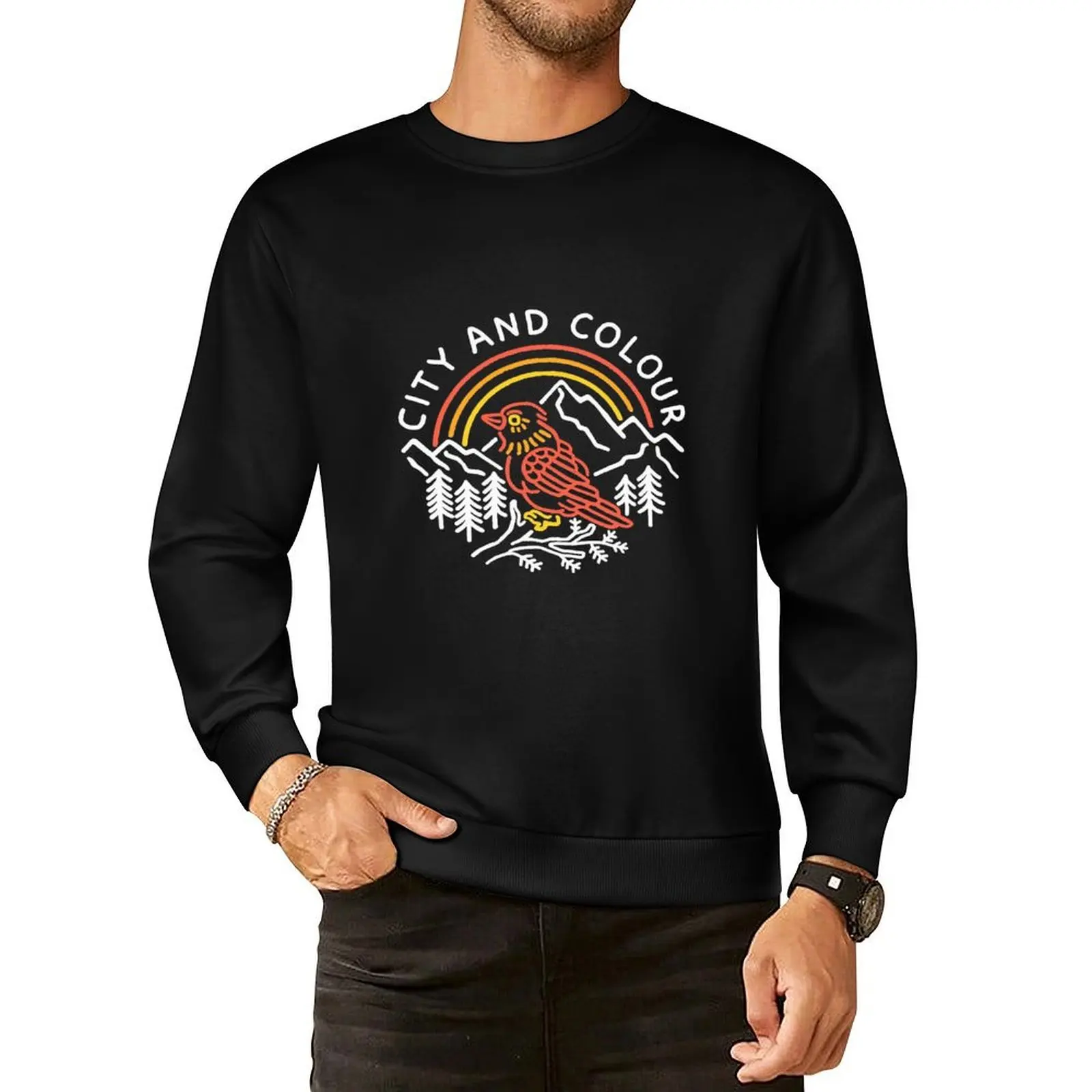 

city and colour heritage circle graphic vintage styled graphic for the awesome band Pullover Hoodie