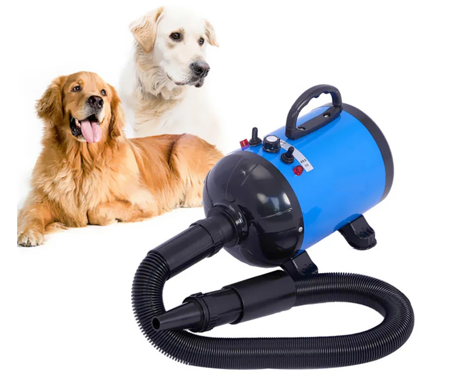 

Newest Style Pet Grooming Tool Portable Silent Dog Pet Hair Dryer With Negative Ion Function For Hot Sale