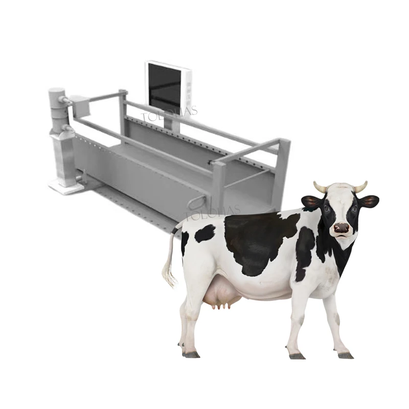 LHWRV80B Veterinaire Digitale Radiologische Beeldvormingssysteem Boerderij Paard Koe Vee Röntgen DR Machine voor Grote Dieren