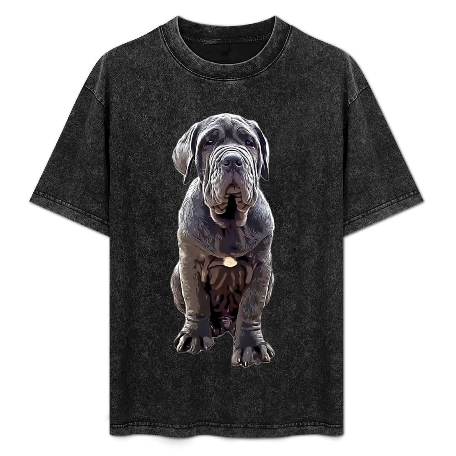 

Neapolitan Mastiff - Stunning Dog! T-Shirt Outdoor Sports Lightweight Tee