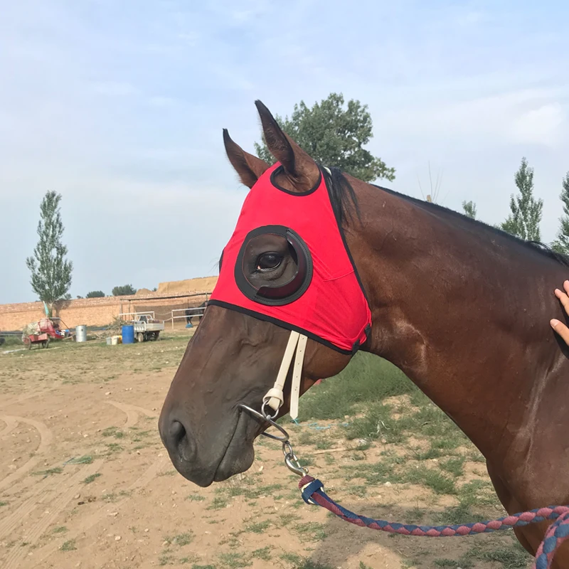 High quality Harness supplies harness cover windproof eye mask speed race goggles with mesh mask trachoma-proof horse head cover