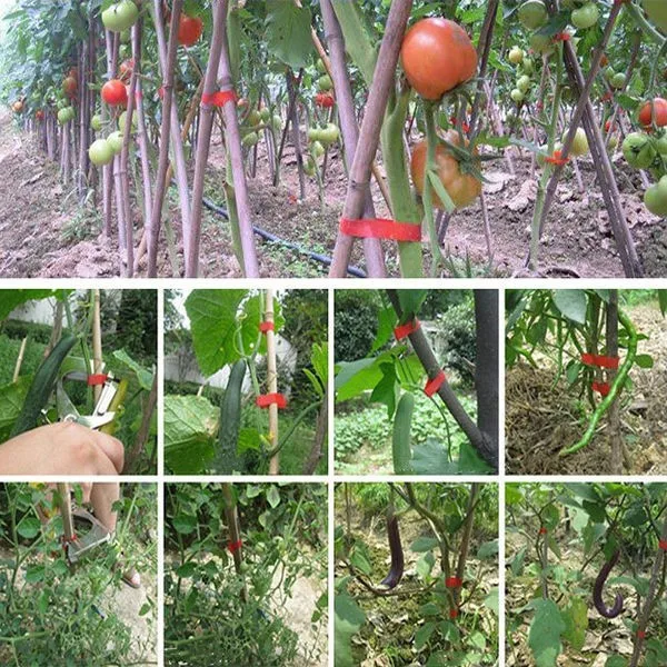 2025年日本製新型ブドウ枝結束機、植物結束機、つる結束装置、テープツールマシン、結束機