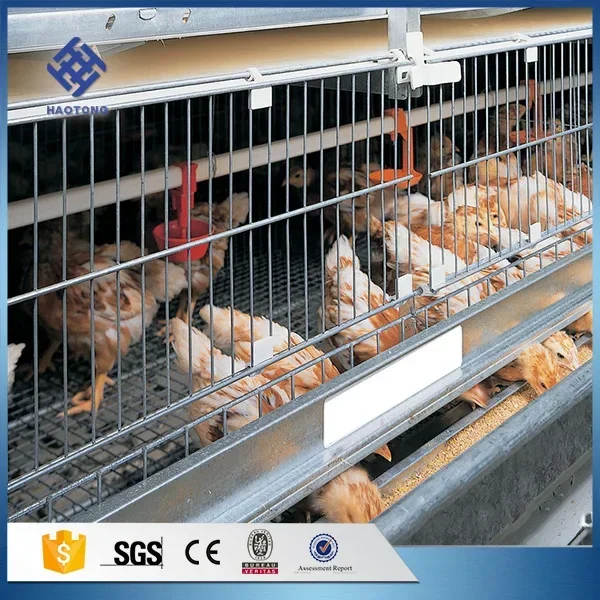 Factory Price Supply Best Selling Products Pigeon Breeding Cage/ Chicken Poultry Cage Mobile Chicken Coop 80 90 - 200 Silver