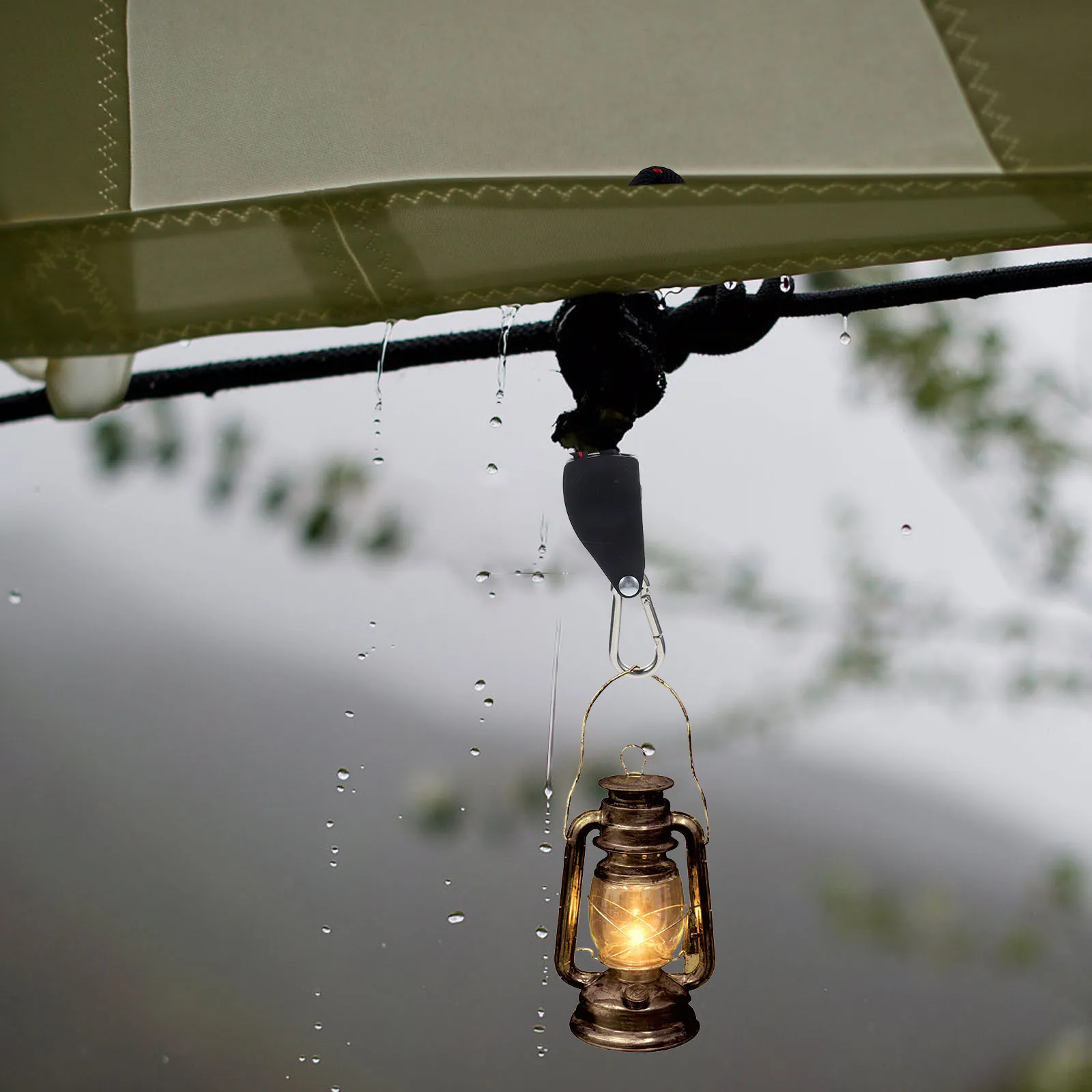 2pcs 1/4 Inch Adjustable Grow Rope Hanger Heavy Duty Sturdy Locking Carabiner Rust Resistant Indoor Plant Light Support Ratchet