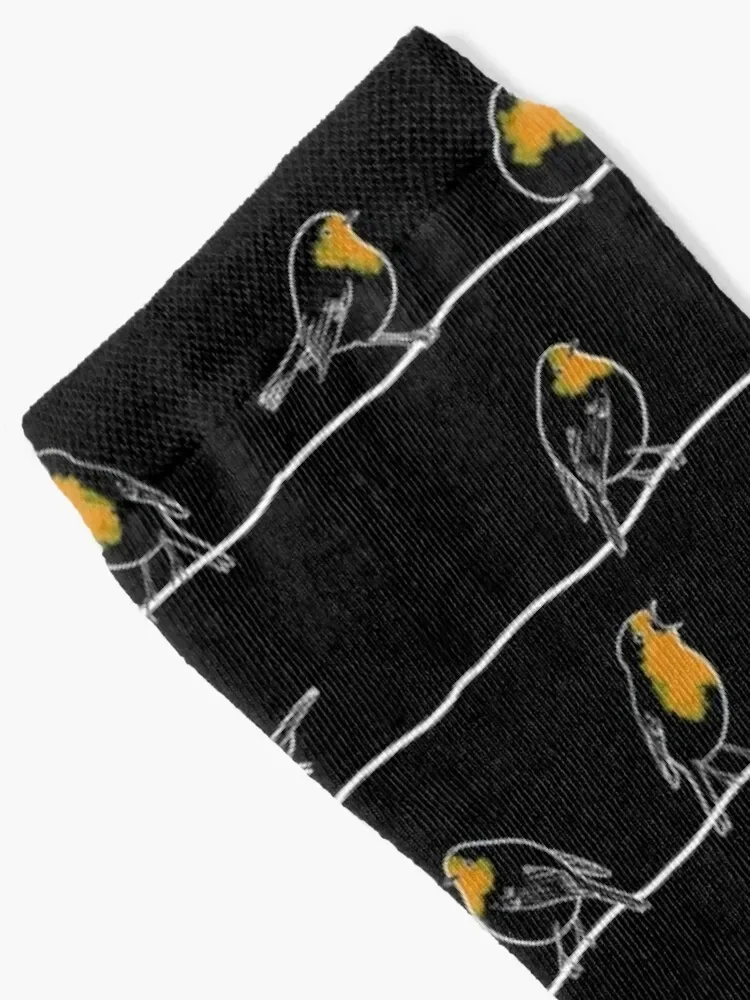 robin Socks hiking happy Lots Designer Man Socks Women's