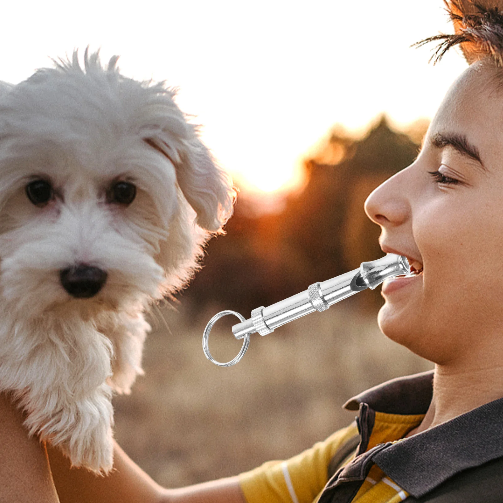 

dog whistle metal whistle sound whistle whistle for dogs pet whistle