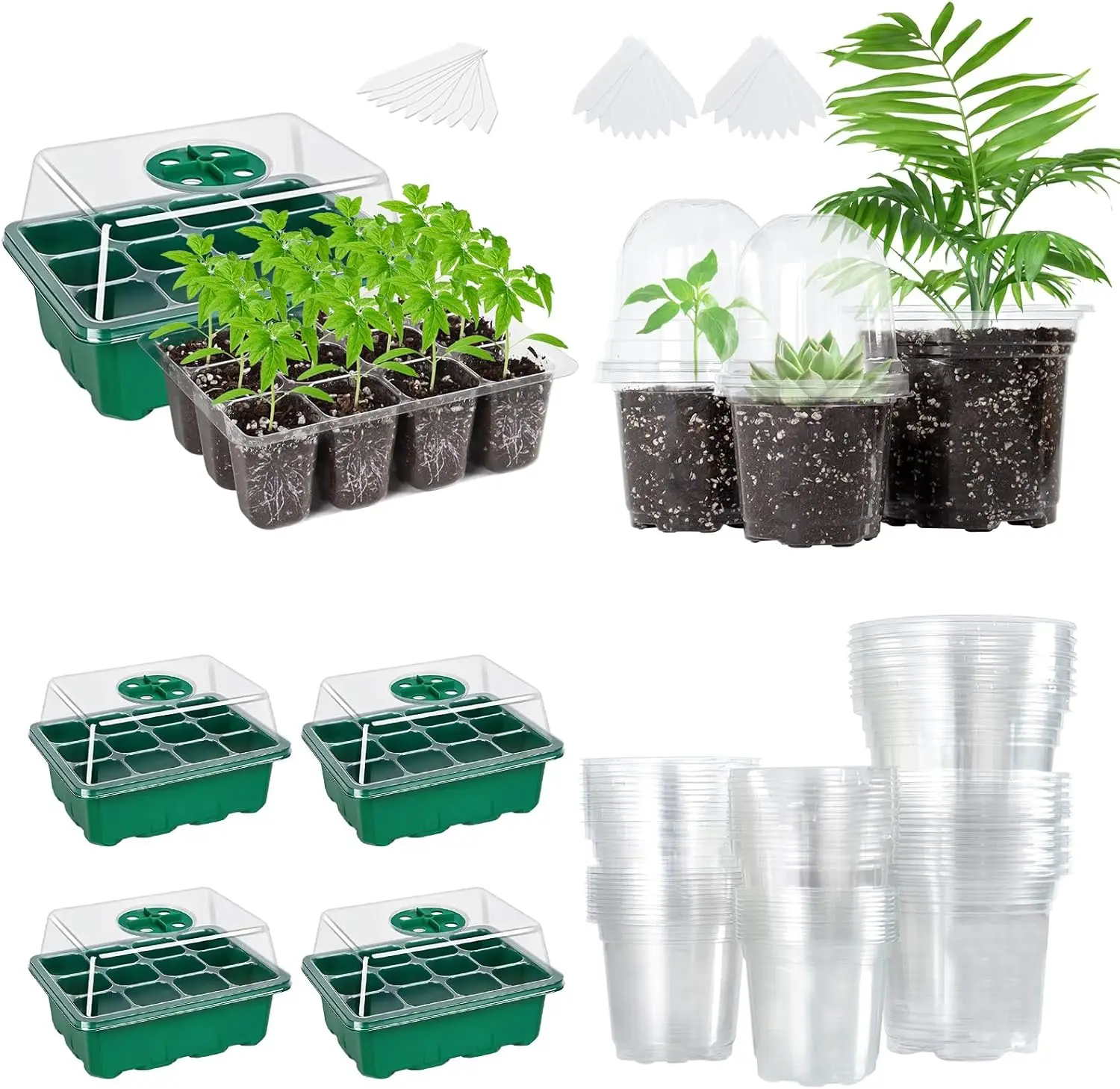 

Набор из 5 лотков для рассады и 36 прозрачных горшков для рассады разных размеров с крышками-куполами