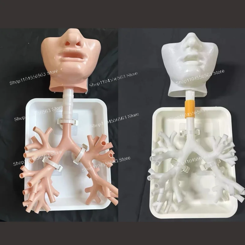 1:1 Bronchoscopy Training Model with Resin Bronchial Tree for Flexible Endoscopy Practice in Medical Education