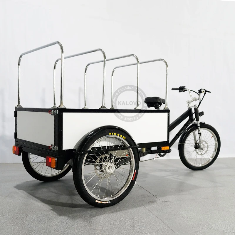 Cargo Transport Bike Good Brake System 3 Wheels Bicycle Cargo Delivery Trike For Sale Waterproof Cover