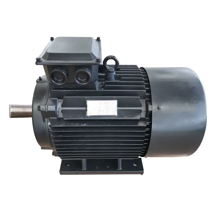 

AC Three Phase Permanent Magnet Generator 20 Years Life 750RPM 50Hz 8A 220vx3/380v 5kw Low Rpm Generator Alternator