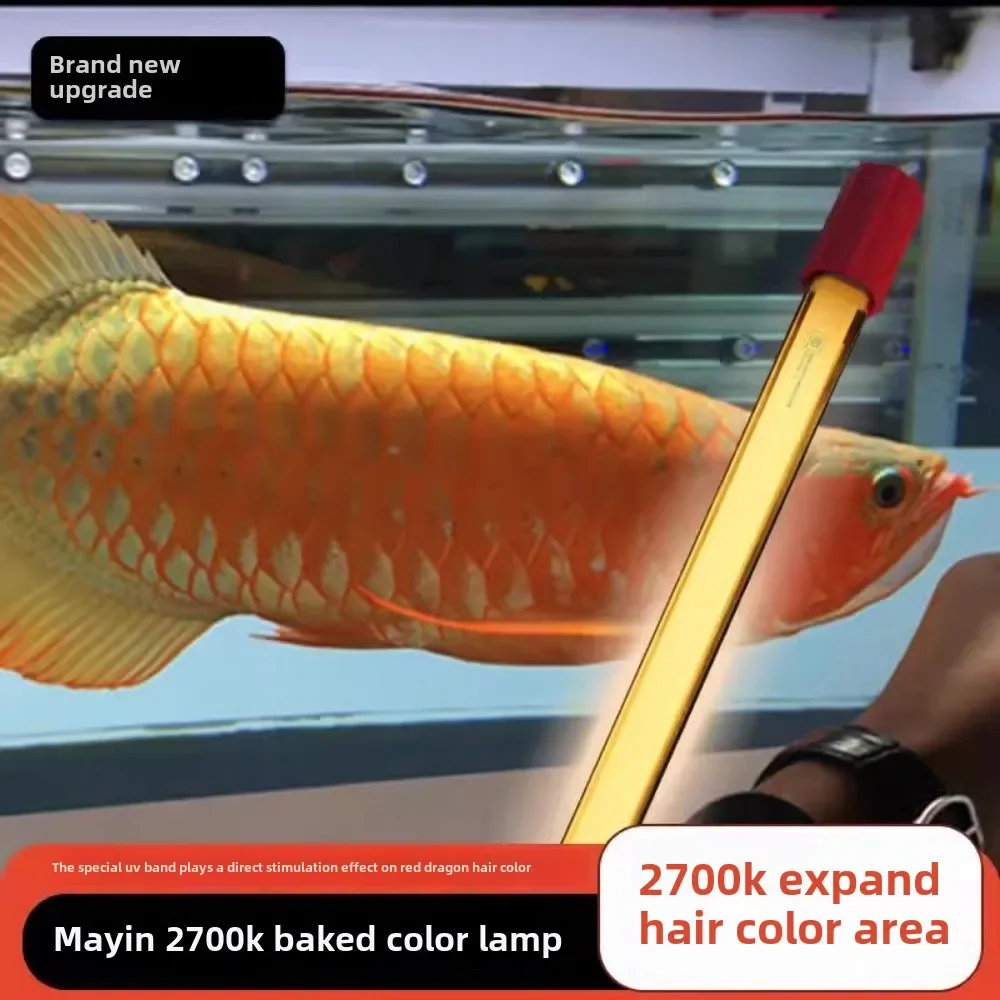 

Arowana Hi Color Light 13000K 6700K Special Baking Fish Tank 3 Primary Color Lamp T5 Diving Full Spectrum Aquarium Accessories