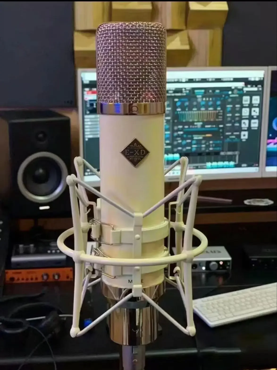 

Профессиональный конденсаторный микрофон EXD M251E с большой диафрагмой, подходит для онлайн-трансляции и записи в прямом эфире караоке