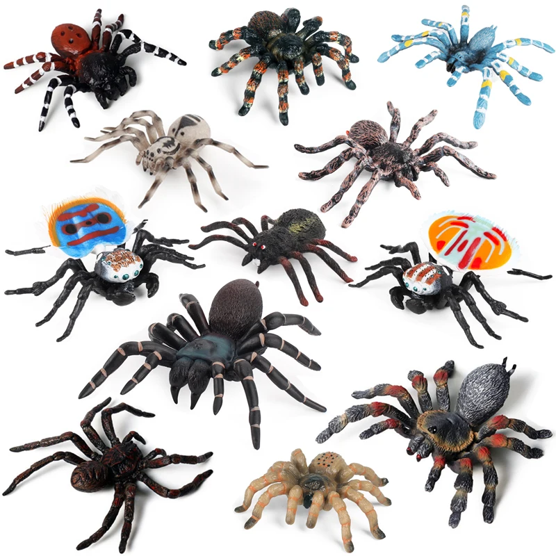 lifelike spider figurine insect animal Tarantula Peacock Spider Argiope amoena Solid plastic action figure prank children toys