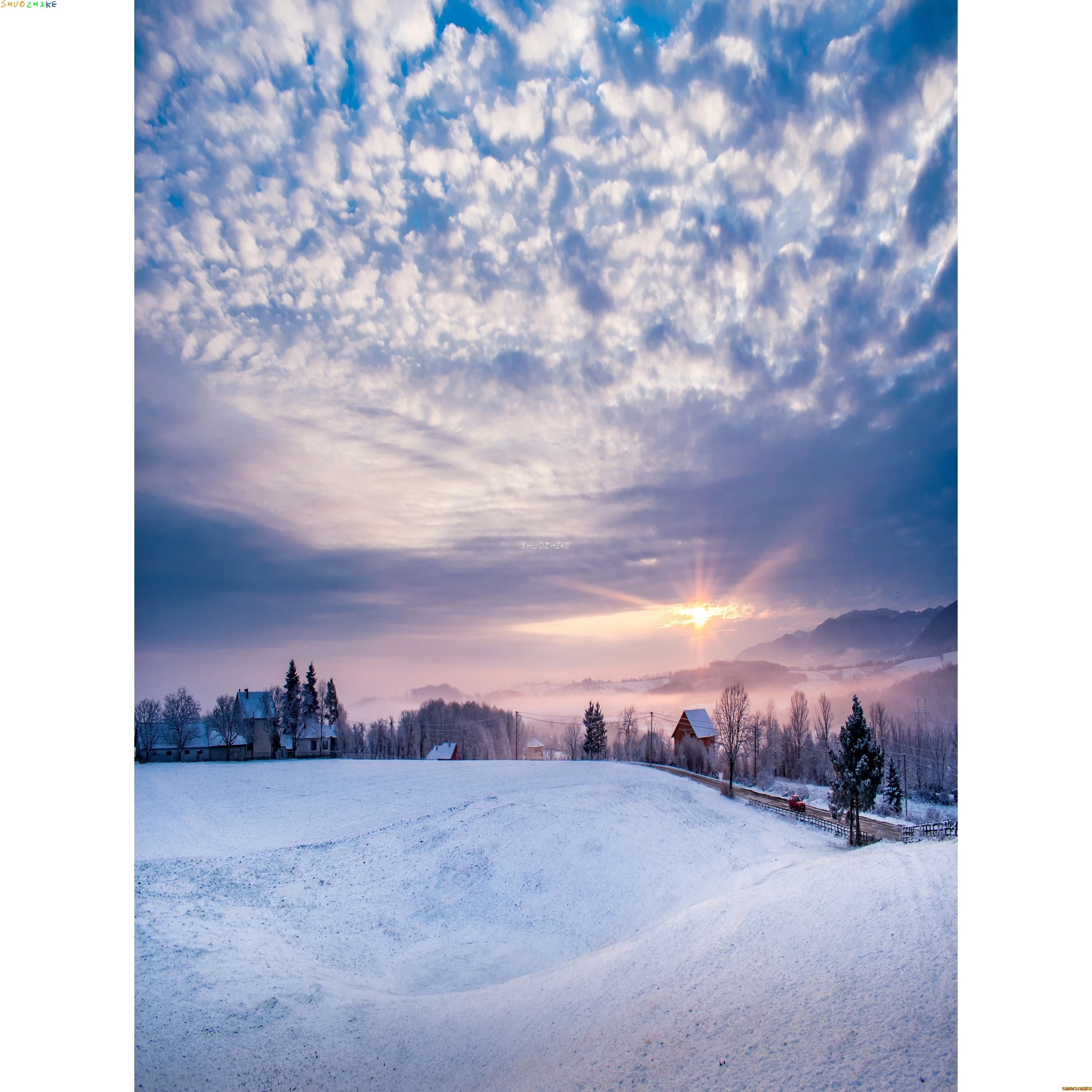 قطرات خلفية للتصوير الفوتوغرافي للغابات الشتوية ، طريق مغطى بالثلوج ، ندف الثلج ، أشجار التنوب ، خلفية الصورة ،