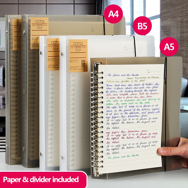 Cornel: La Soluzione Perfetta per Notebooks Organizzati e Produttivi