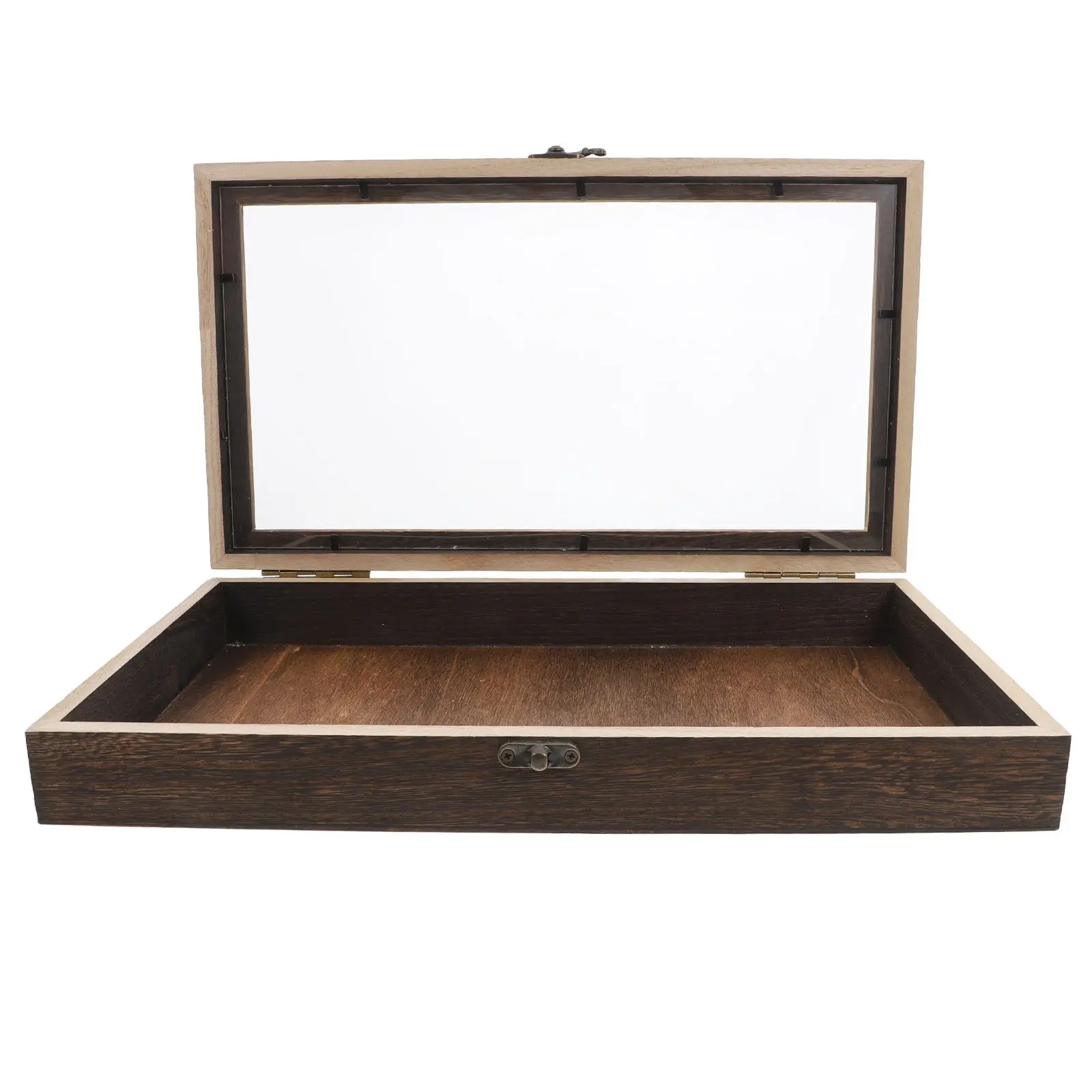 Box Wooden Display Case Clear Top Specimen Showcase Pine Wood Jewelry Storage Tray Keepsake Box Home Decor