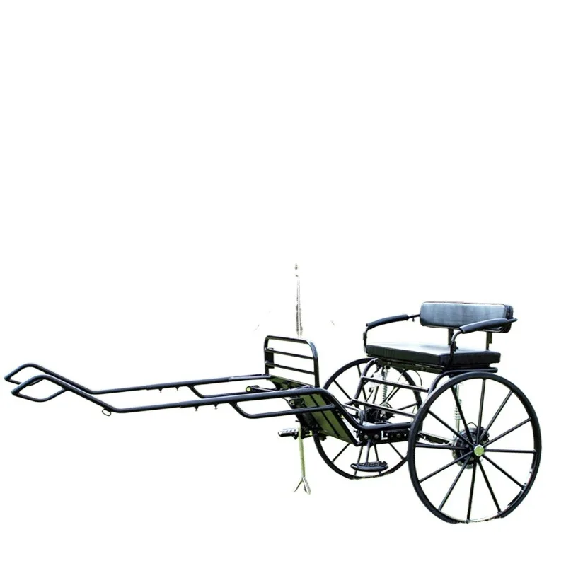 

Retro, sightseeing carriage, equestrian supplies, solid two-round training competition