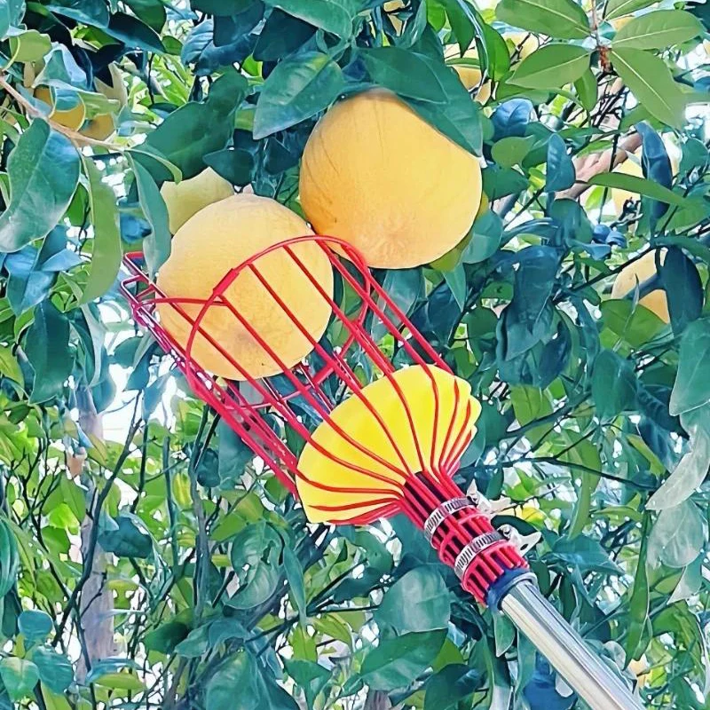 Obstpflücker, Käfigform, Obstkopf, Pflücken, Loquat, Birne, Obstwerkzeuge, abnehmbarer Obstpflücker für Bauernhof, Obstgarten, Gärten, Werkzeug – Detail 6