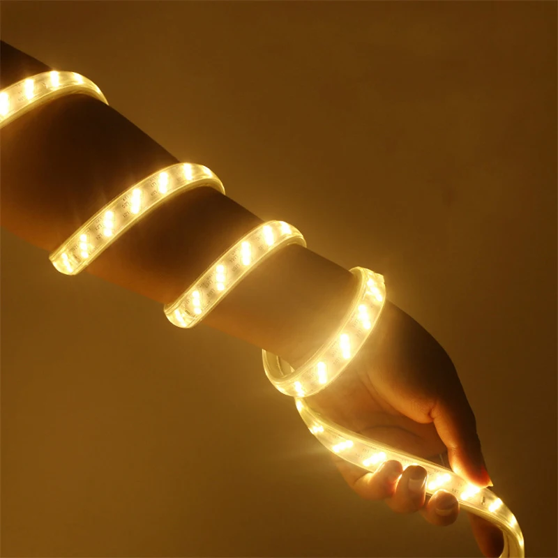 220v LED Strip Lights With EU Power Plug 2835 Flexible Ribbon Tape Waterproof LED Strip 220v for Living Room Garden Lighting