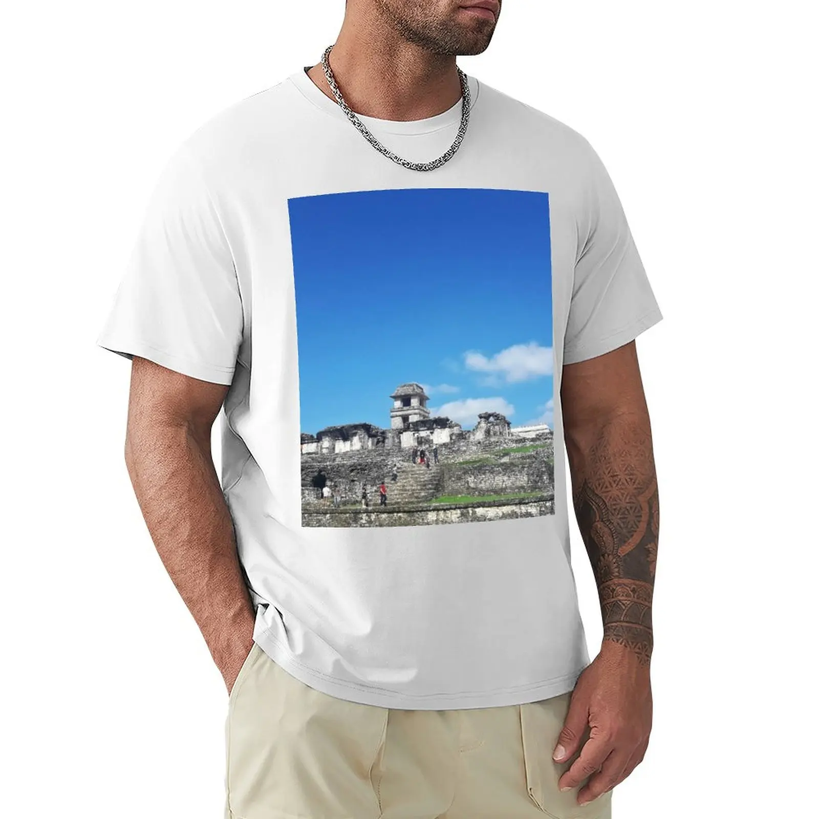 

MS Parque Nacional Palenque 14. T-shirt aesthetic clothes summer clothes mens t shirt