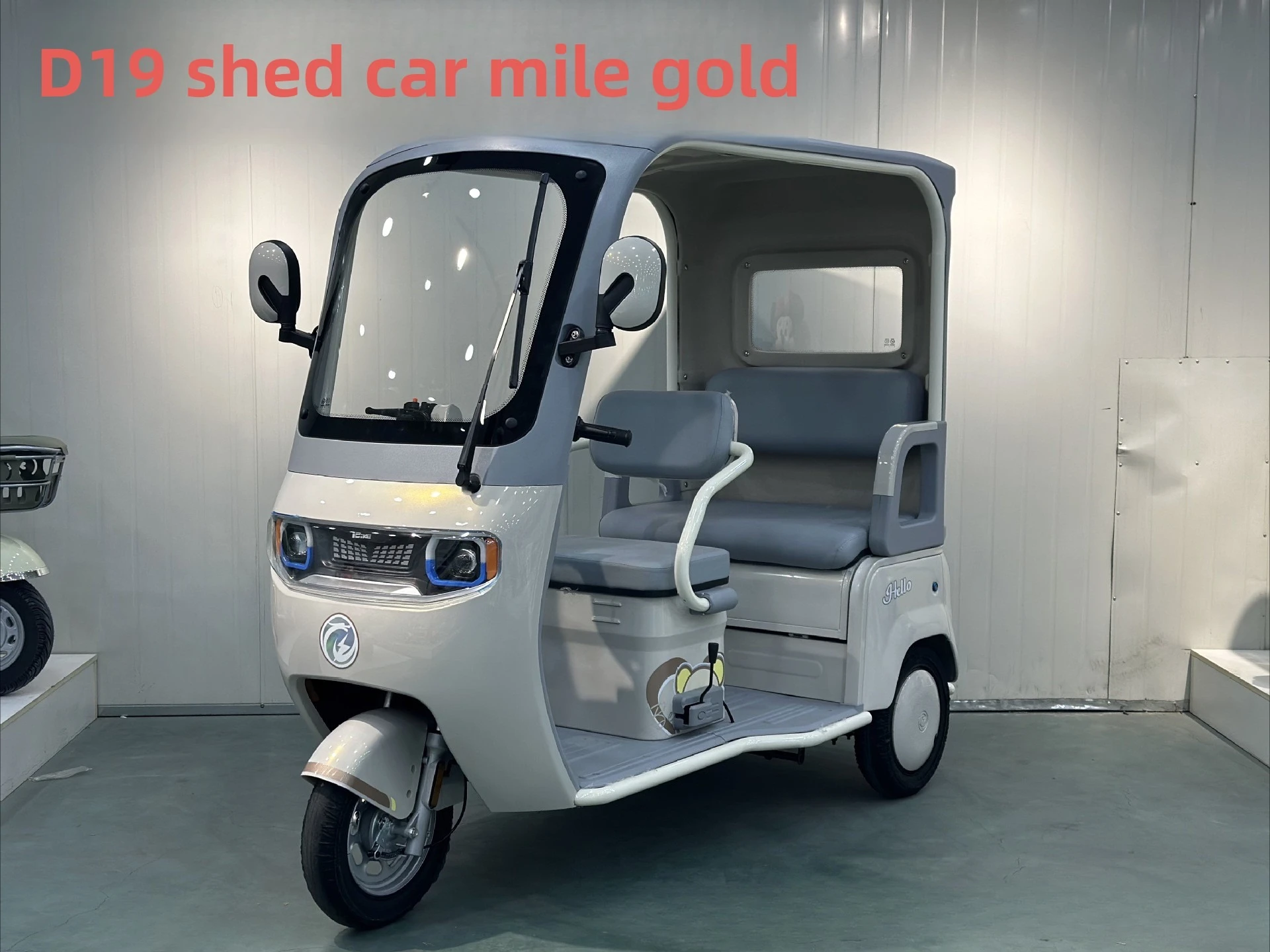 Neues elektrisches Dreirad für Erwachsene, Unterhaltung, ziehende Waren, ältere Roller zum Aufnehmen und Entfernen von Kindern