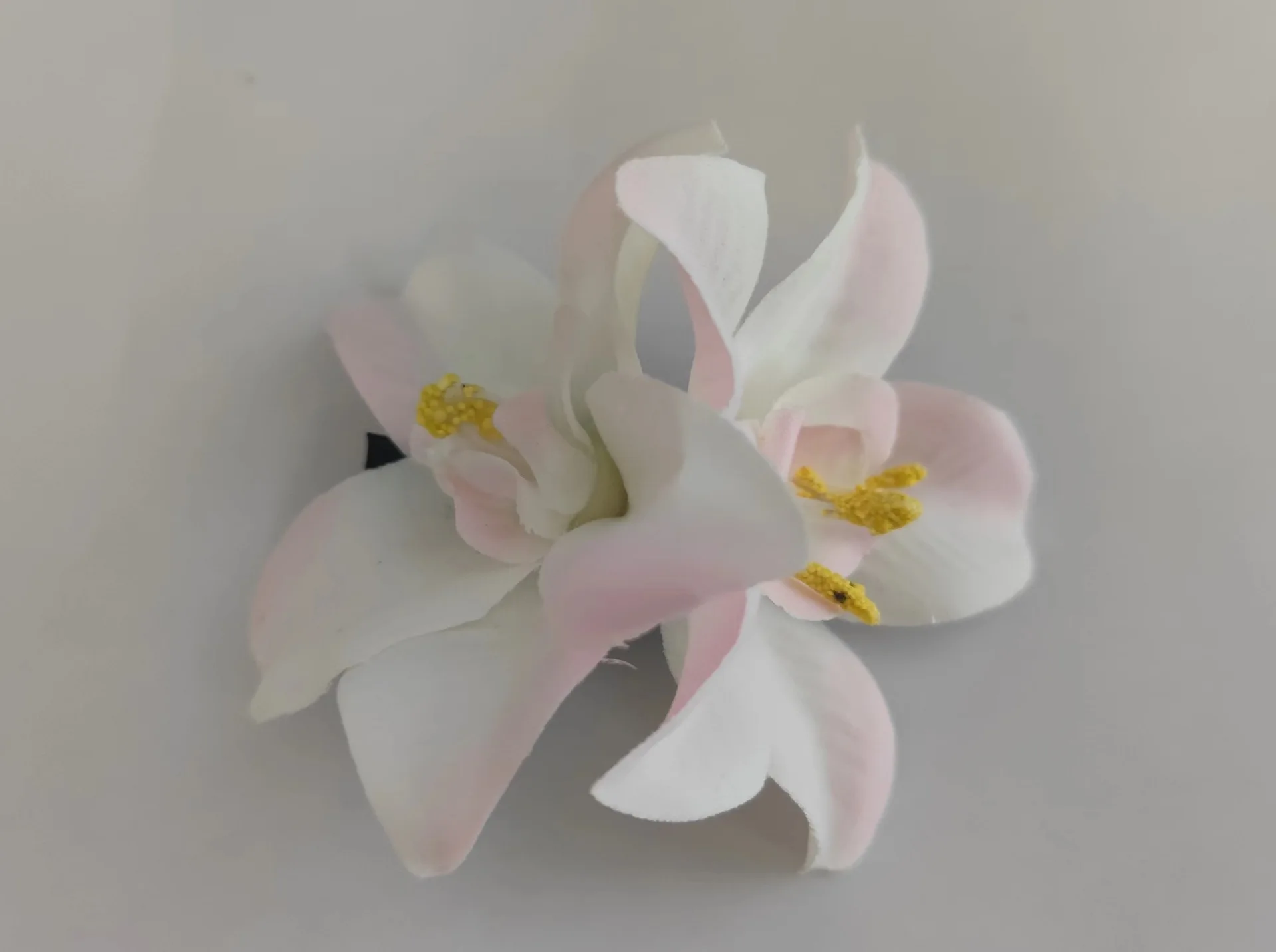 

Повседневная прическа Различные цвета Аксессуар для головы двойной орхидеи Шпилька для отдыха с цветами Компактный портативный дизайн Легко носить с собой