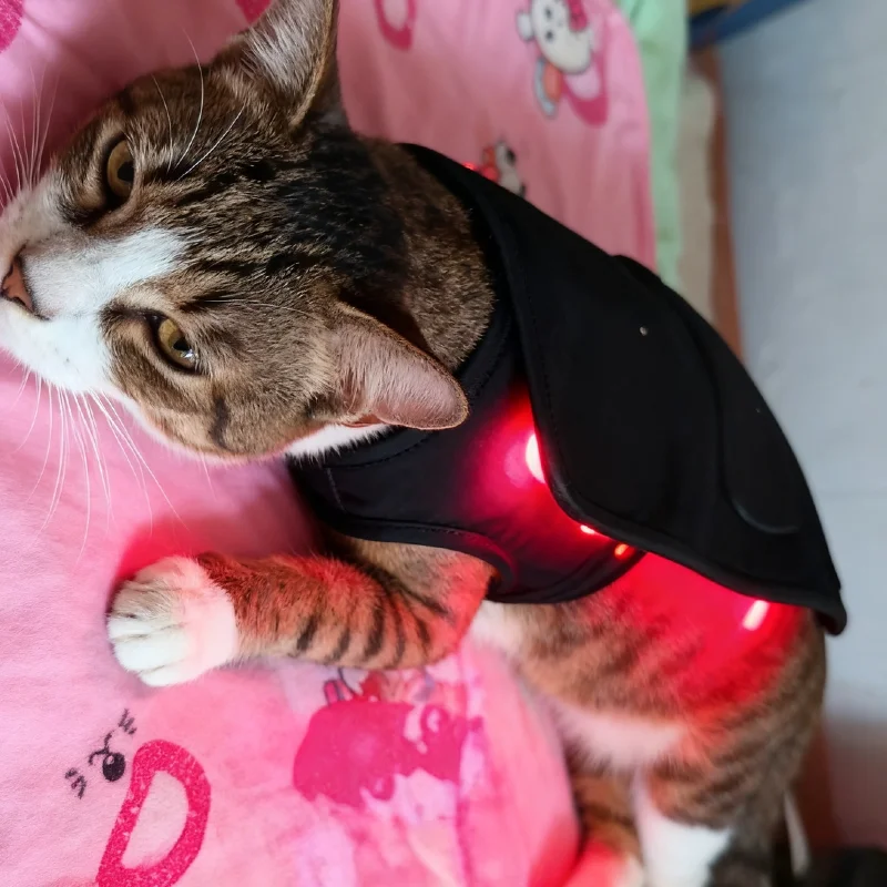 Deep Pain Relief and Rosacea Treatment Device, 660nm Red Light Cold Laser Belt for Dog Wound Sport Injury