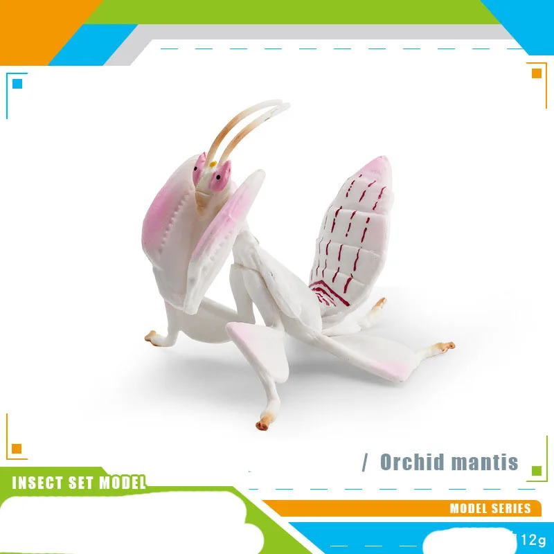 1 pz insetti simulati figure Mini Mantis cicala formiche Wasp Beetles PVC Figurine giocattolo educativo per bambini