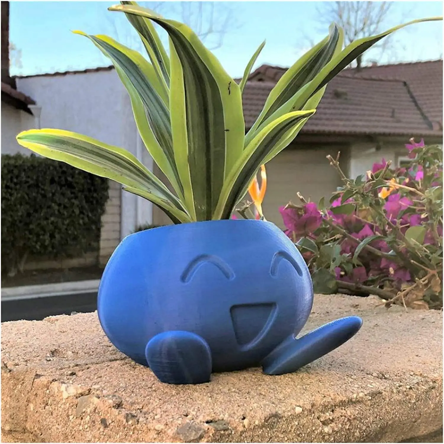 Oddish-Pot de fleurs pour plantes succulentes, jardinière