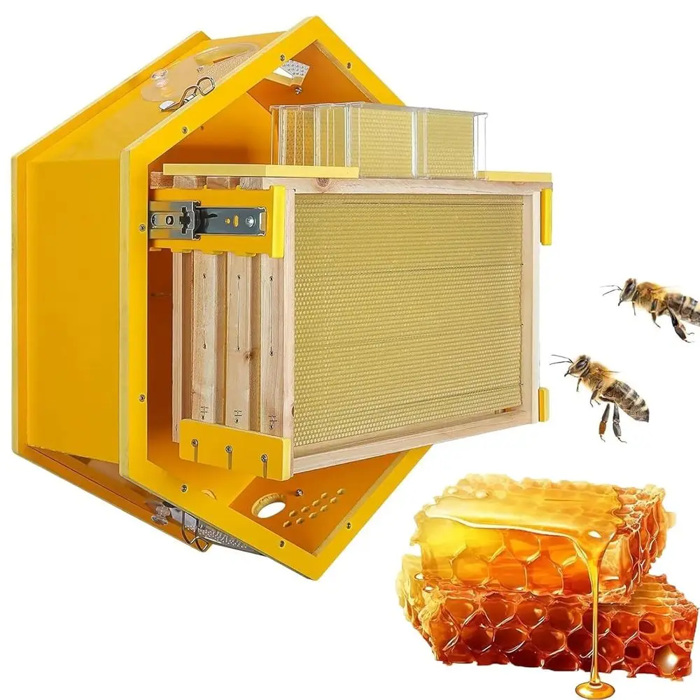 

Wall-Mounted Beekeeping Kit with 3 Entrances, 6 Honeycomb Trays, and Acrylic Window for Hobbyists