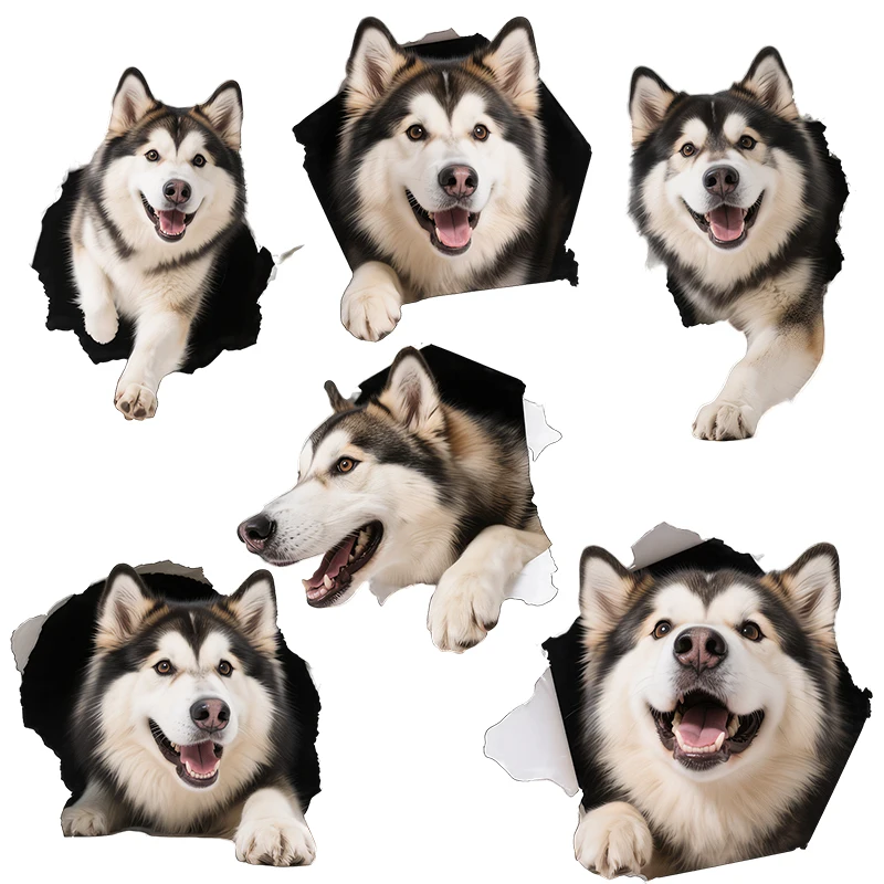 Three Ratels CG206 funny Siberian Husky Dog Animal Stickers for Home Decoration Pet supplies decoration decals