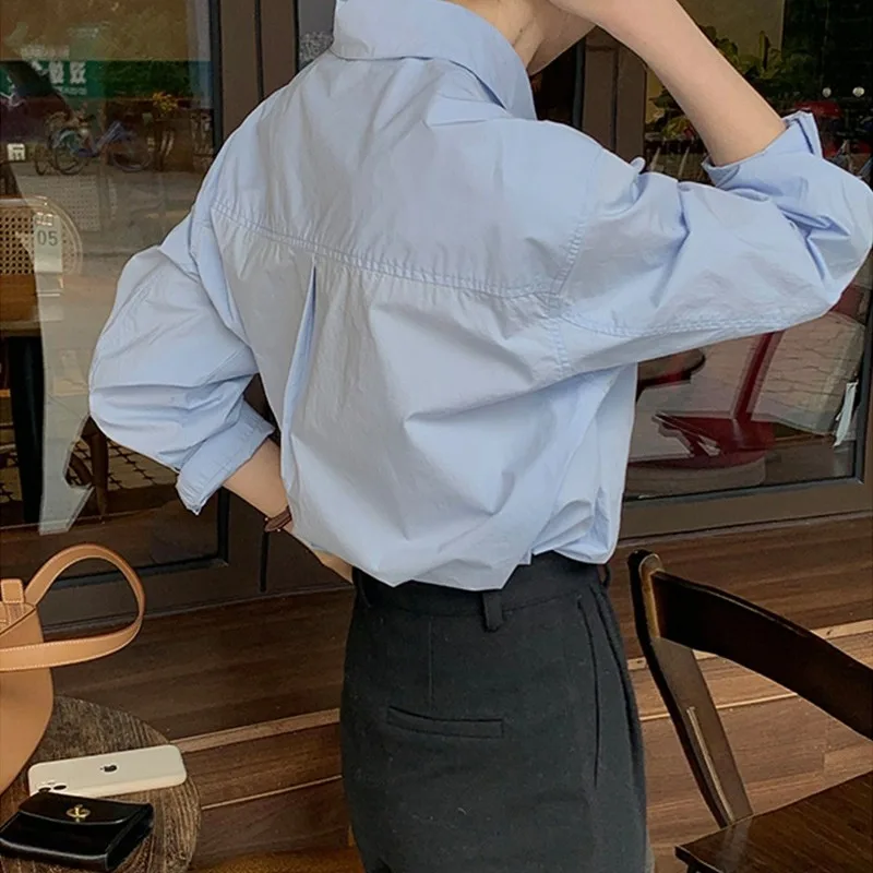 Chic Long Sleeve Women's Shirt Gentle Korean Style New Autumn Collection Fashionable Top Design Sensation Polyester Fiber