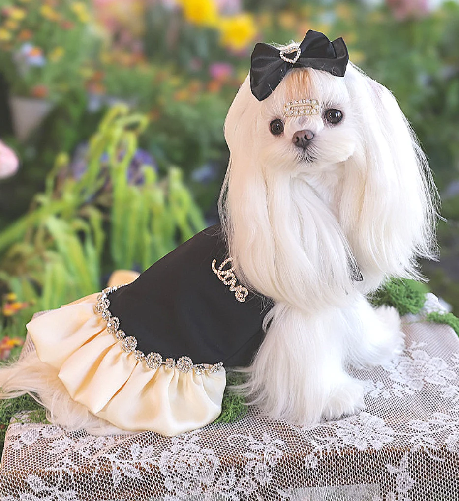 

High-End Designed Silk Material Comfortable Dog Dress Pearl Collar Maltese Chihuahua Puppy Luxury Dress
