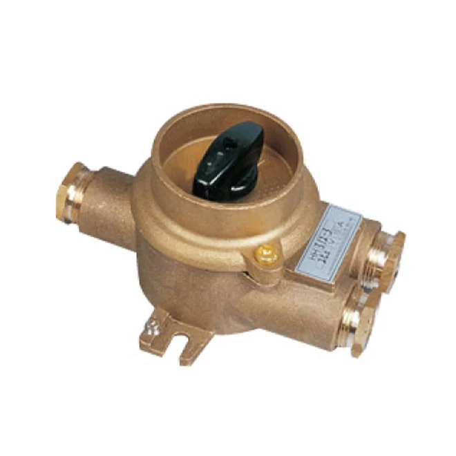 1133 HNA10A/16A IP56 Marine Brass Switch