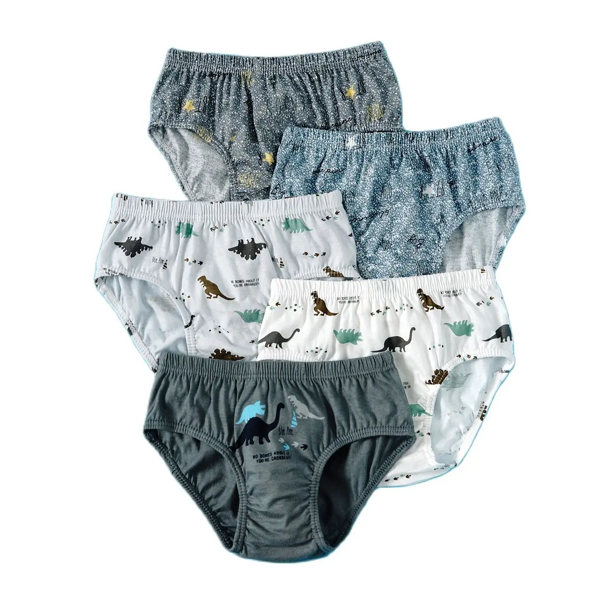Lot De 6 Boxers En Coton Doux à Motif Dinosaure Pour Garçons 2 à 9 Ans - Confort Absolu Et Motifs Amusants