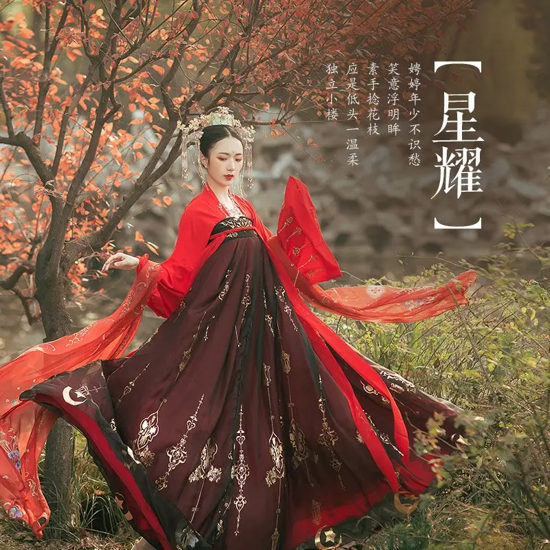 

Sui-Tang Hanfu - High-Waist Dress with Embroidery & Gold Foil, Traditional Chinese Daily Wear Women's Halloween Costumes