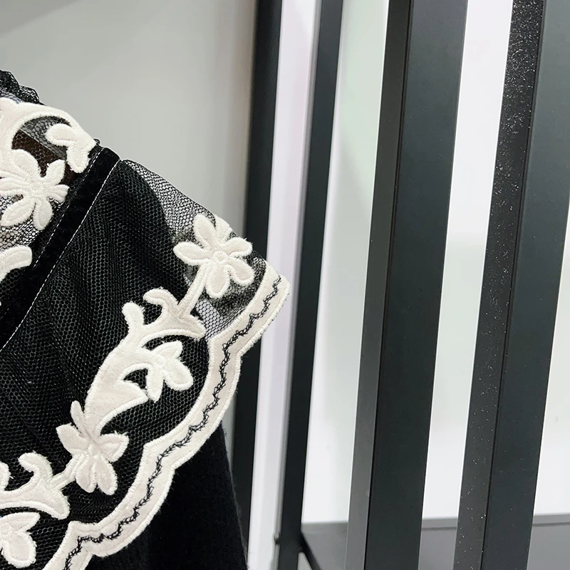 Spring 2026 Early Embroidered Lace Trim round Ne Slim Knitted Sweater Women's Commute Sle Long Sve Regular Length