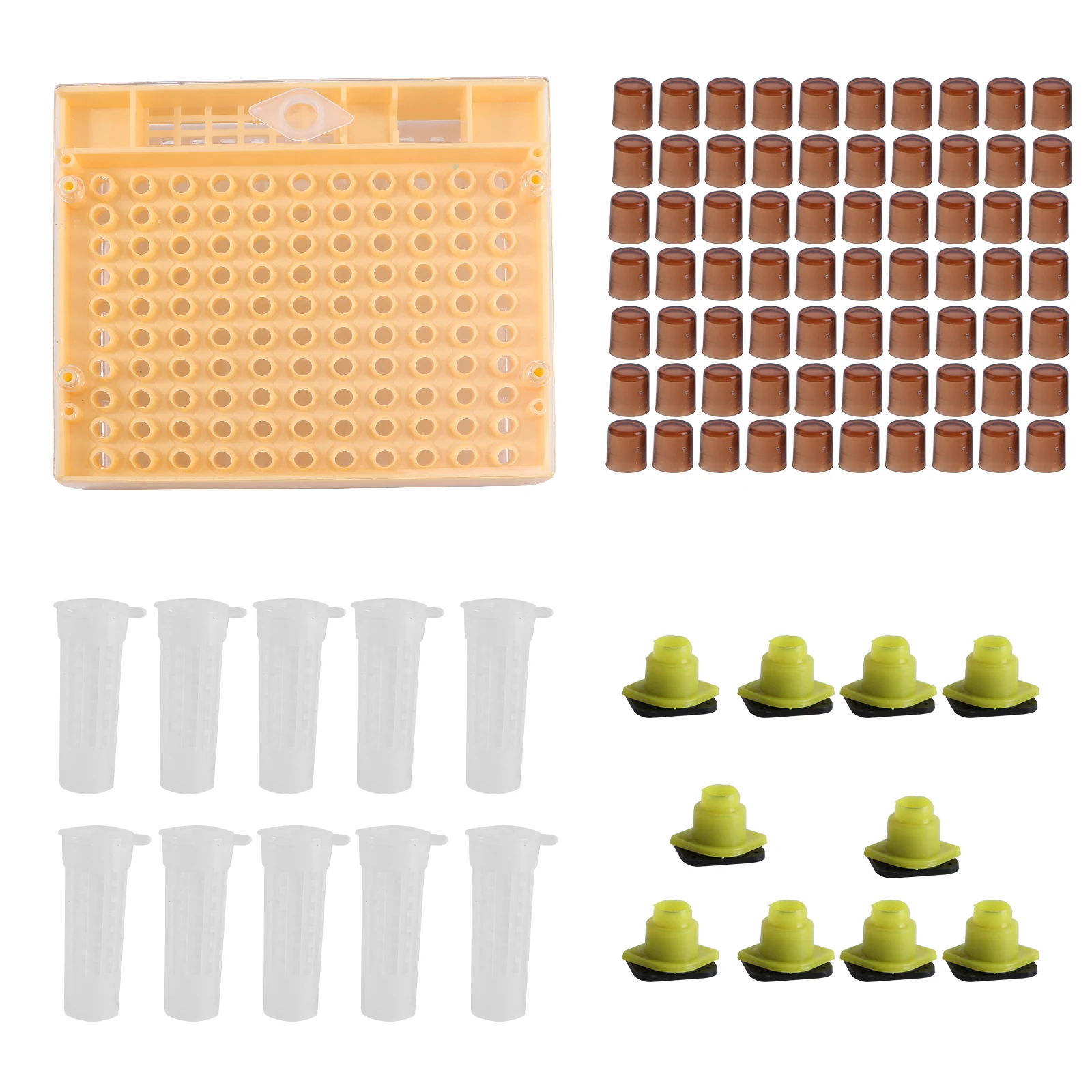 

Queen Rearing Kit Beekeeping Supplies Tools Plastic Non Toxic Lightweight Breeding Management Apiculture Box Beehive Set