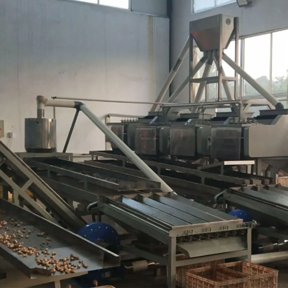 Nut Shelling Machine Continuous Working Sheller for Mixed Nuts Cracking Snack Factory Processing