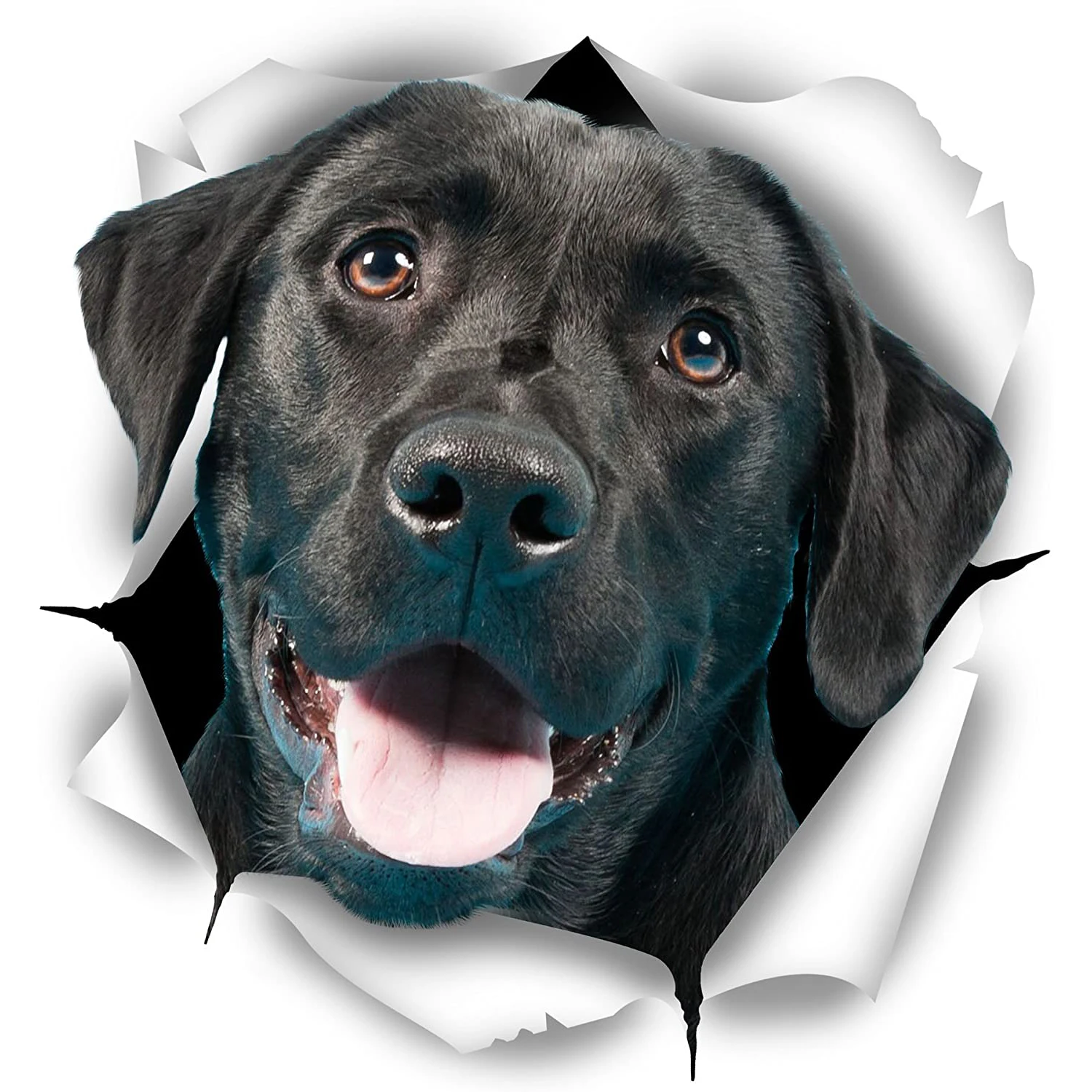 

Cartoon Cute Black Labrador Torn Metal Car Sticker Waterproof Decal Laptop Suitcase Motorcycle Auto Accessories PVC,12cm*9cm