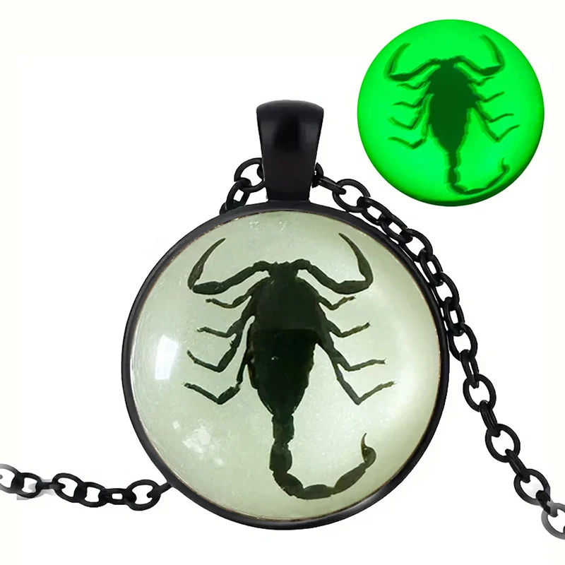 Punk Glow In The Dark Insect Necklace Round Spider Scorpion Centipede Picture Glass Pendant Necklace For Men