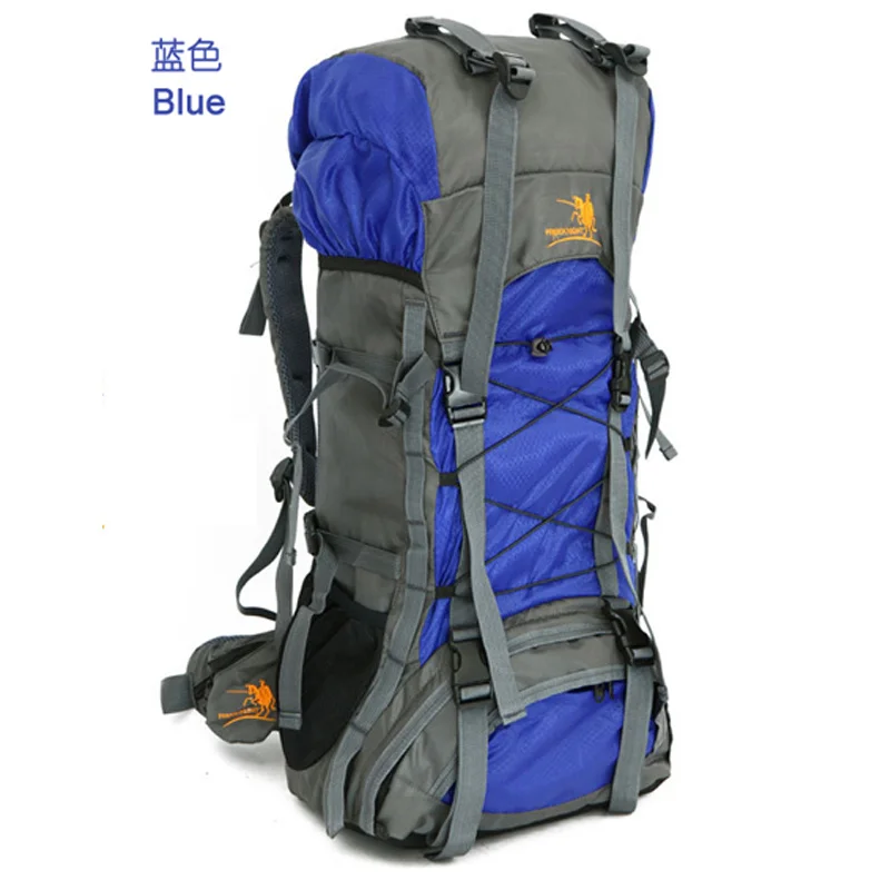 

High Quality Mountaineering Bag Double-Shoulder 60L Large Capacity Waterproof Travel Backpack Men Women Weekend Bags