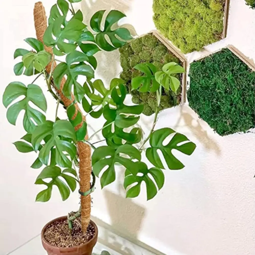 Bendable Suporte De Planta De Extensão, Musgo Pólo, Coco Estacas De Escalada, Monstera Interior, Dill Verde, Vine Planta De Escalada, Acesso Jardim