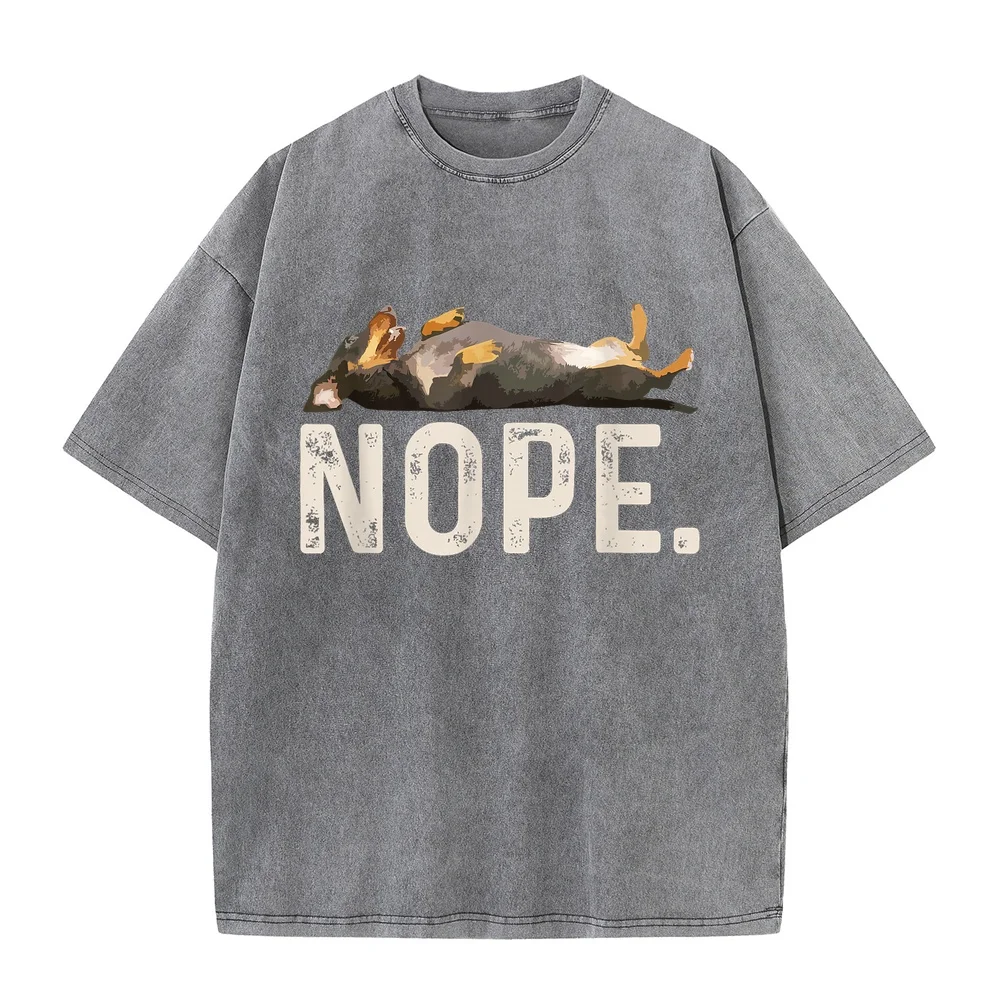 Camiseta de manga corta con estampado de un perro teckel perezoso, ropa para mujer, ideal como regalo, camiseta básica de algodón, tallas de la S a la 5XL, camiseta con diseño gráfico, humor, frase divertida.