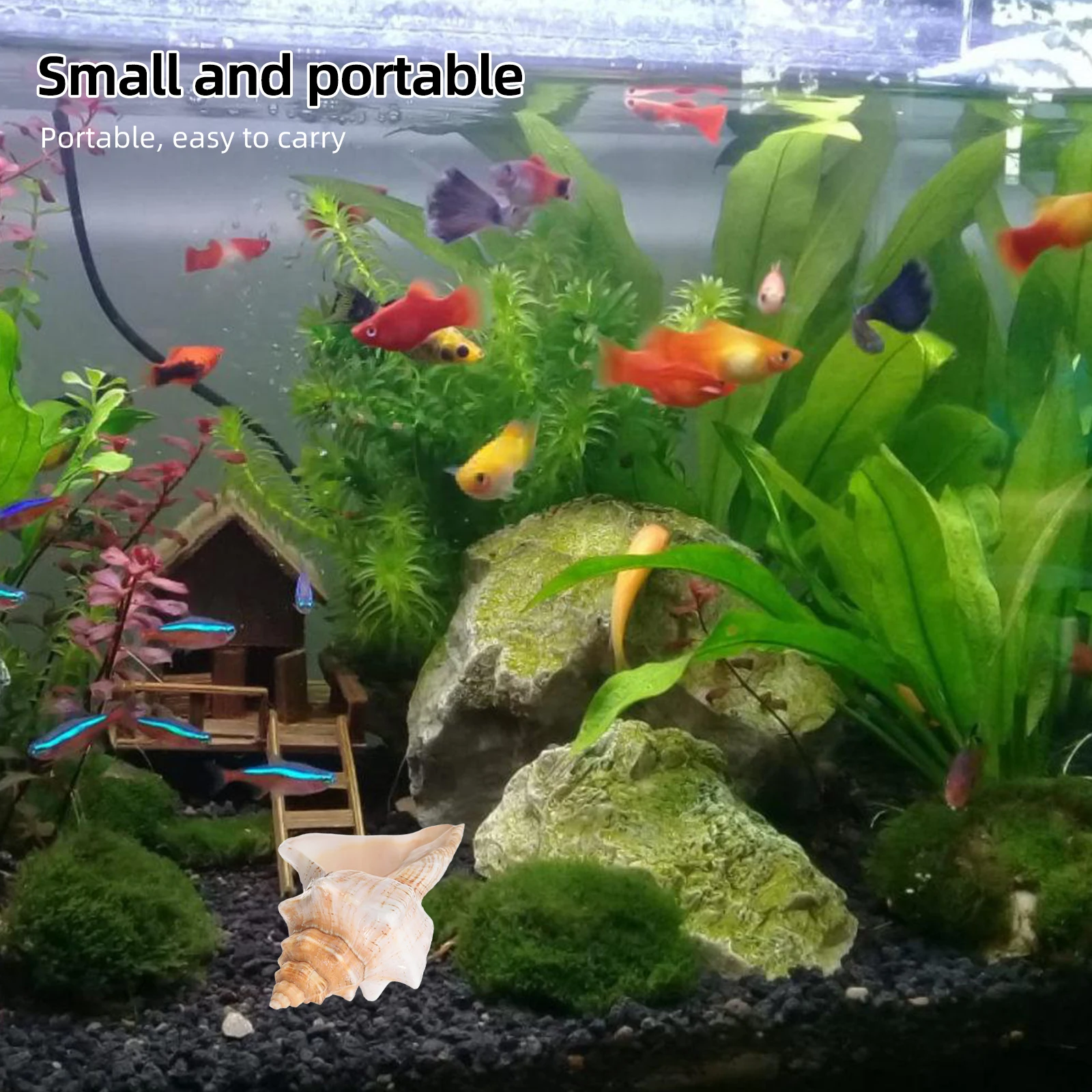 

Extra Large Giant Conch Shell Striped Seashell For Vase Filler Air Plants Aquarium Decor Beach Wedding Party Home Ocean