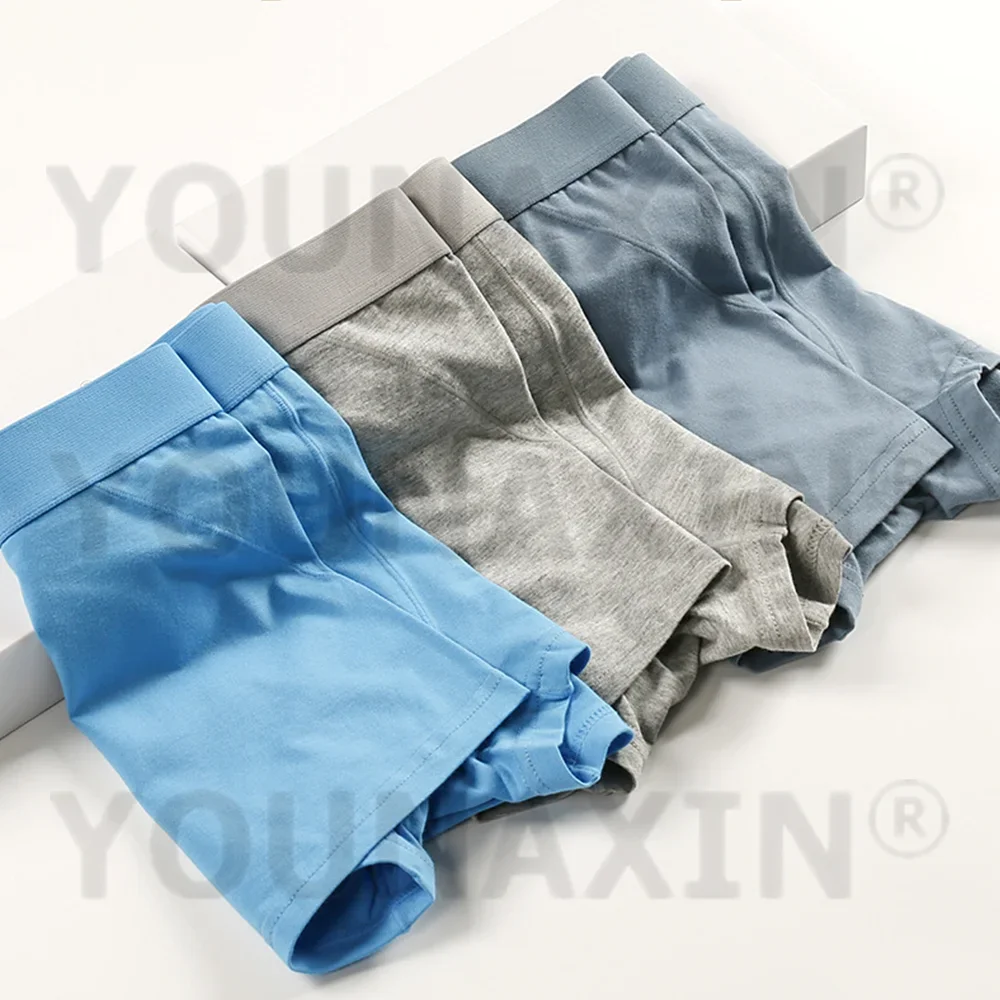 6 قطعة كبيرة الحجم الرجال سراويل داخلية للرجال الملابس الداخلية القطن Soild تنفس Boxershorts الصبي سراويل الملابس الداخلية مختلط الألوان M L XL 2XL 3XL