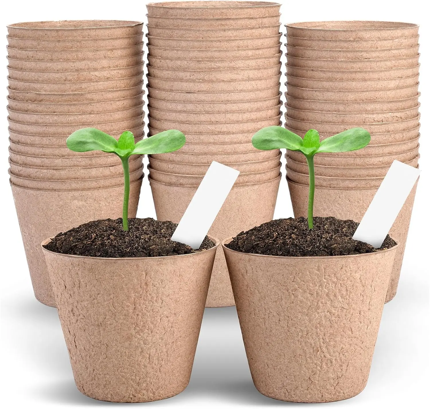 50 Biodegradable 4-…