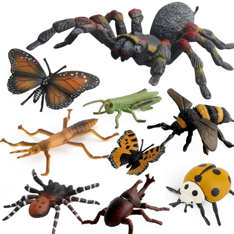 Simulation Miniature Insects Figurines Animal Set Teaching Aids Model Spider Butterfly Biology Education Toys Landscape Ornament