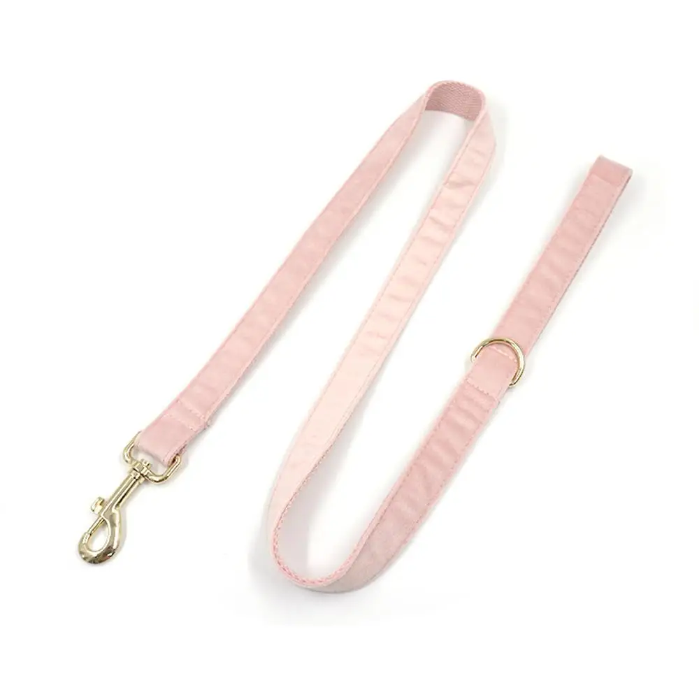 Personalisiertes Hundehalsband aus weichem Samt in mehreren Farben, individuelle kostenlose Gravur, Welpen-Haustierhalsband, passende Leine erhältlich – Detail 20
