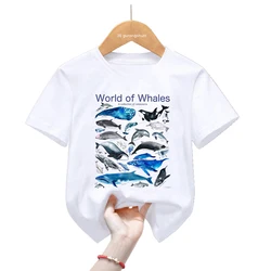 Camiseta con estampado gráfico de World Of Whales para niños y niñas, ropa Harajuku Kawaii para niños, camiseta de delfín, camiseta de manga corta de verano